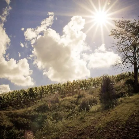 Der Espenhof Landhotel, Tagungshotel & Weingut Flonheim