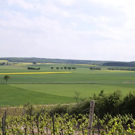 Hotell Der Espenhof Landhotel, Tagungshotel & Weingut