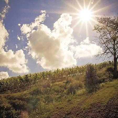 Der Espenhof Landhotel, Tagungshotel & Weingut מלון