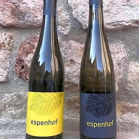 Hotel Der Espenhof Landhotel, Tagungshotel & Weingut Flonheim