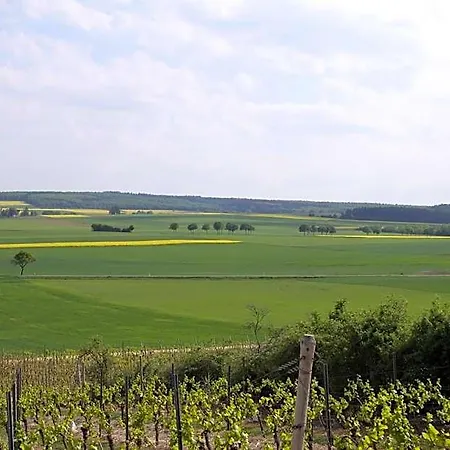 Der Espenhof Landhotel, Tagungshotel & Weingut 3*