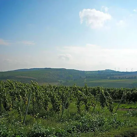 Der Espenhof Landhotel, Tagungshotel & Weingut 3* פלונהיים