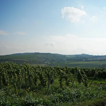 Der Espenhof Landhotel, Tagungshotel & Weingut 3*