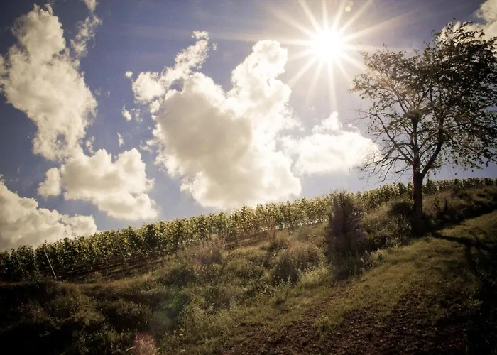 Landhotel&weingut Espenhof Flonheim