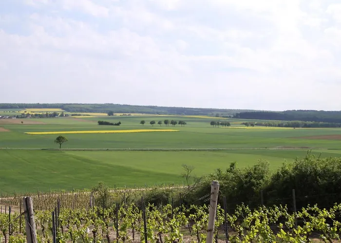 Hotel Landhotel&weingut Espenhof