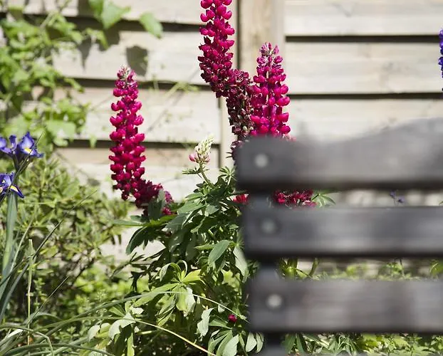 Landhotel&weingut Espenhof Hotel Flonheim