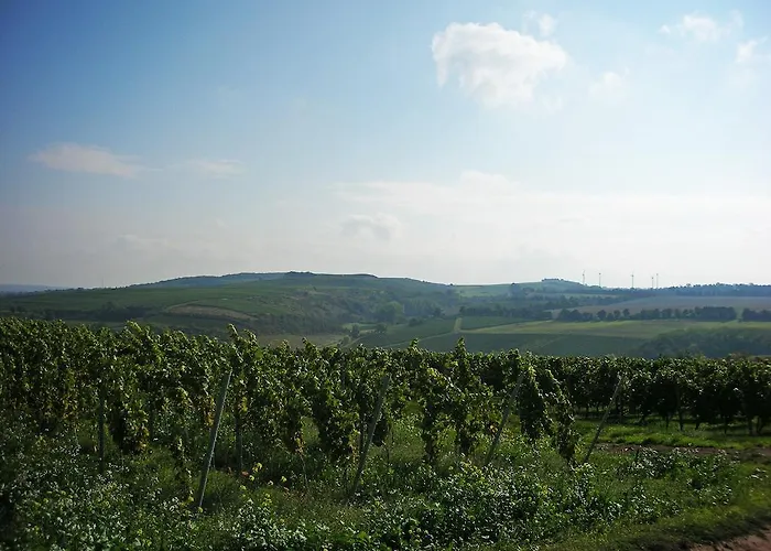 Landhotel&weingut Espenhof 3*